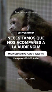 monos cemic convocatoria 2025