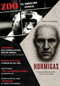 flyer.bajo